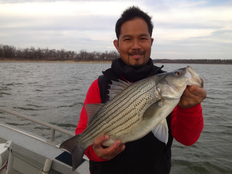 Lake of the ozarks fishing report november 2012 emails