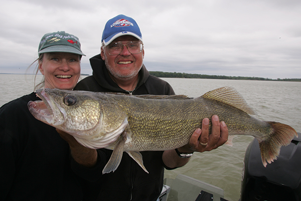 Walleye Length To Weight Conversion Chart