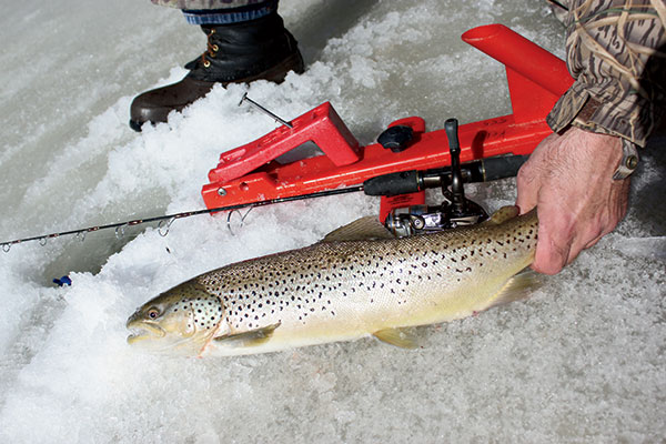 Locations for Brown Trout Fishing 