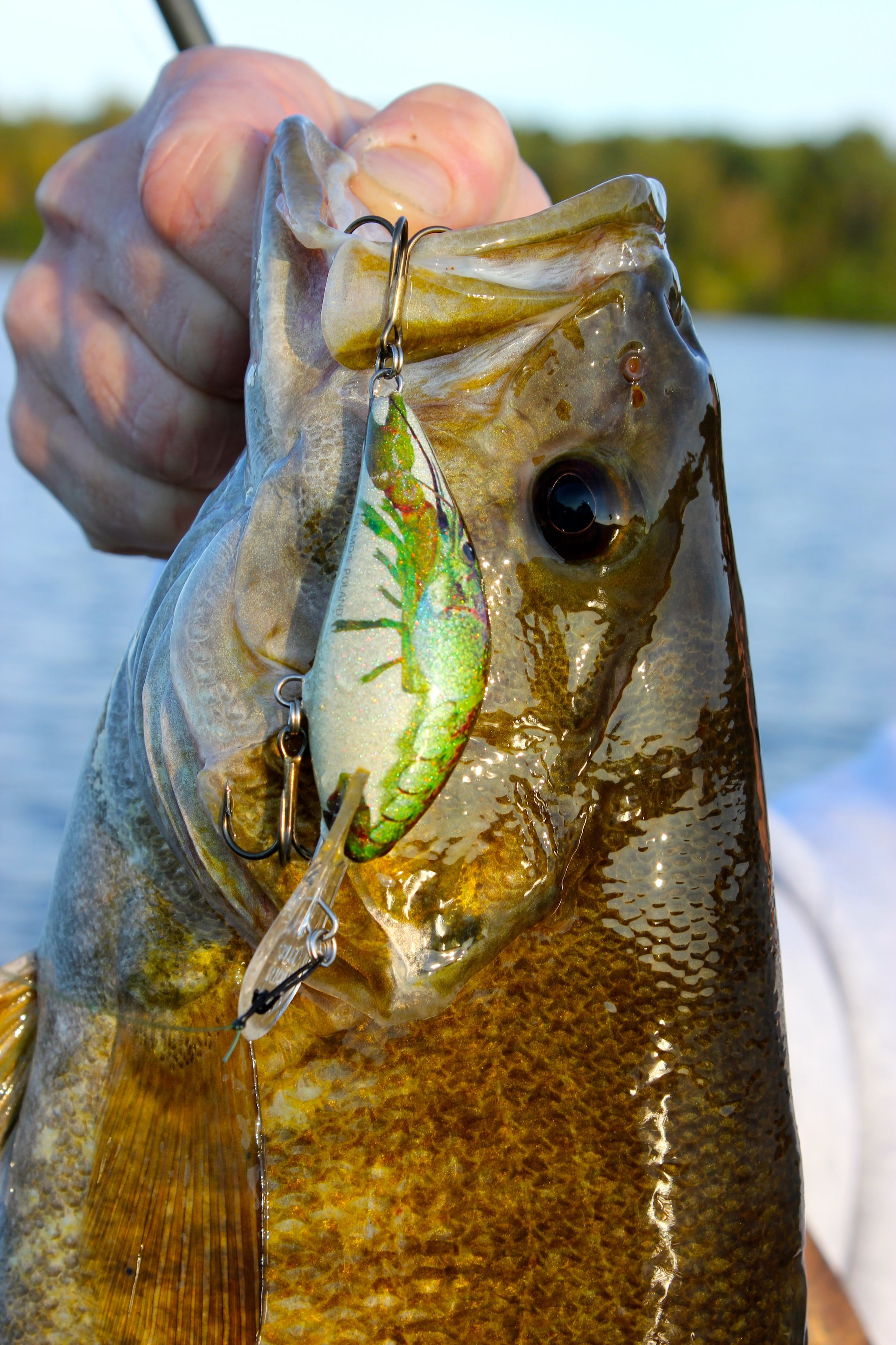 RIVER FISHING WITH LURES MADE EASY 