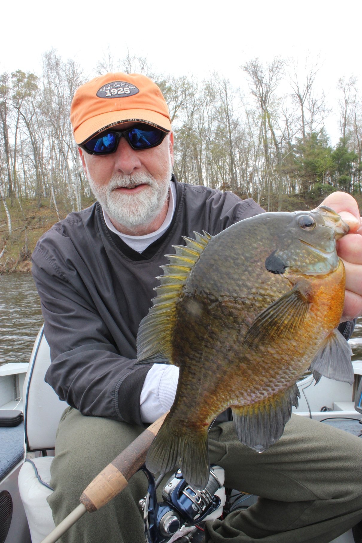 One More Bluegill - In-Fisherman