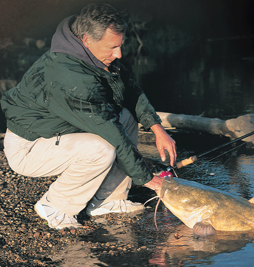 How To Fish For Flathead Catfish - In-Fisherman