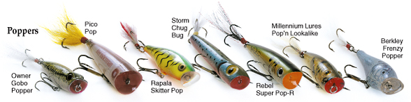 Bass Through The Roof -- Topwater Smallmouth Baits - In-Fisherman