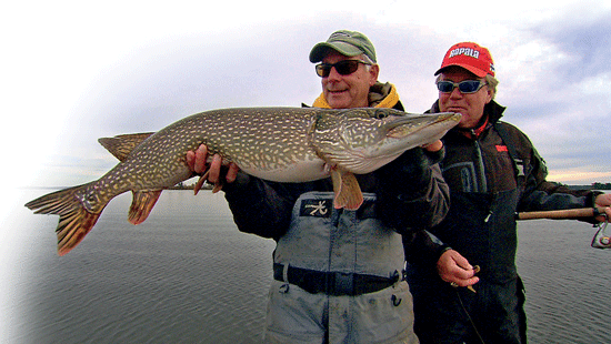 Allure for Pike - In-Fisherman