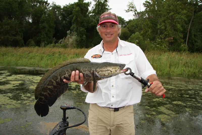 Snakehead fishing on the Potomac River and elsewhere - In-Fisherman