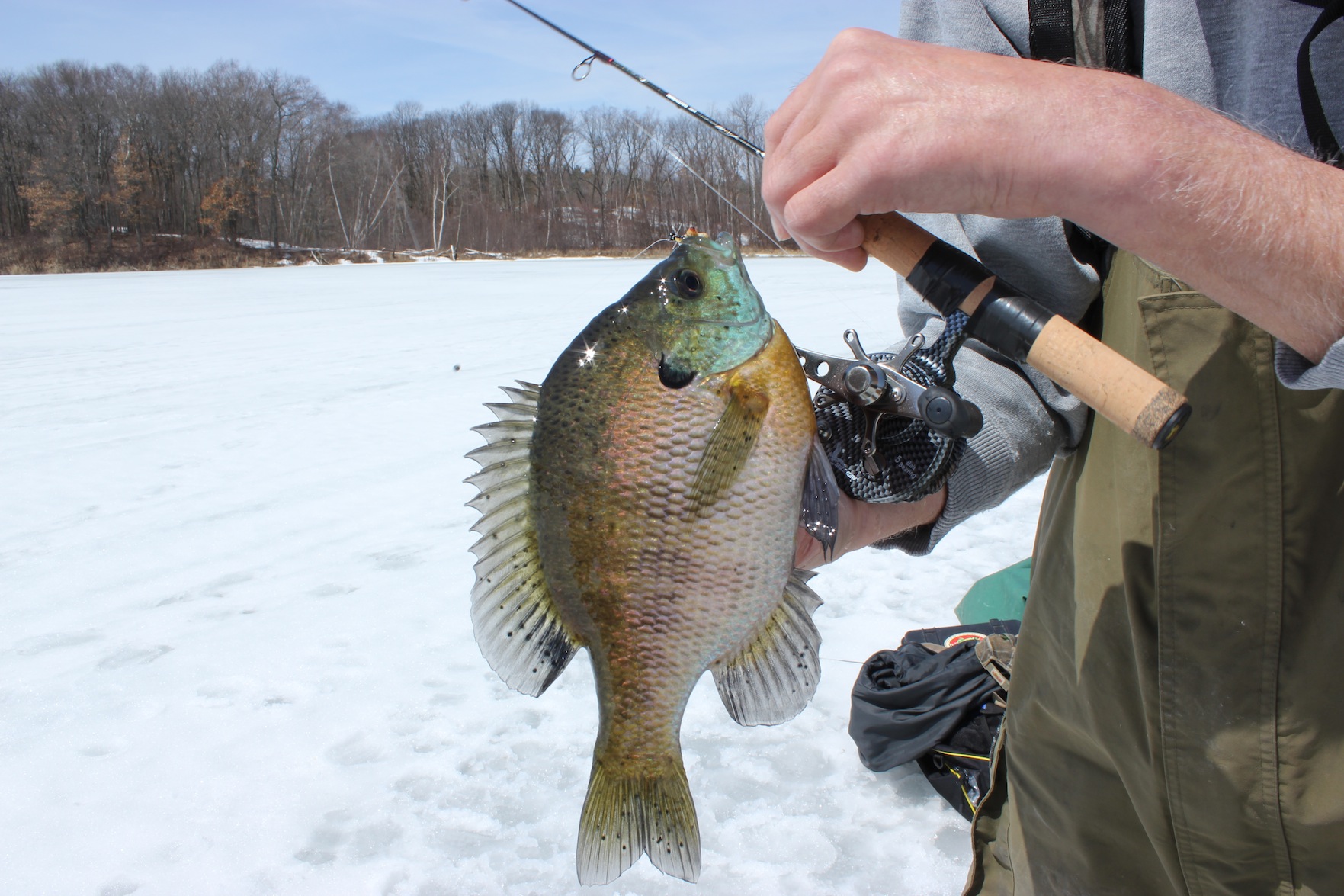 Ice Fishing for Perch by Matt Straw (Space Invaders, Spoons, and Portl –  Great Lakes Angler
