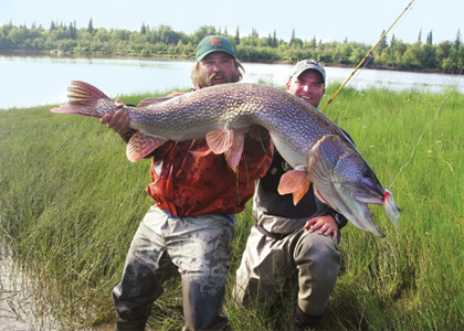 Top 10 Places To Catch Giant Pike - In-Fisherman