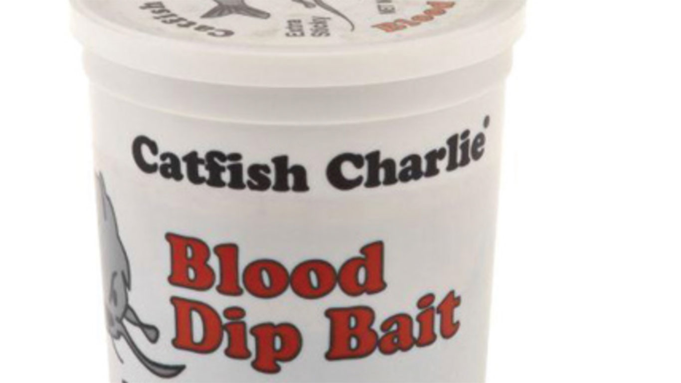 Best Catfish Baits 
