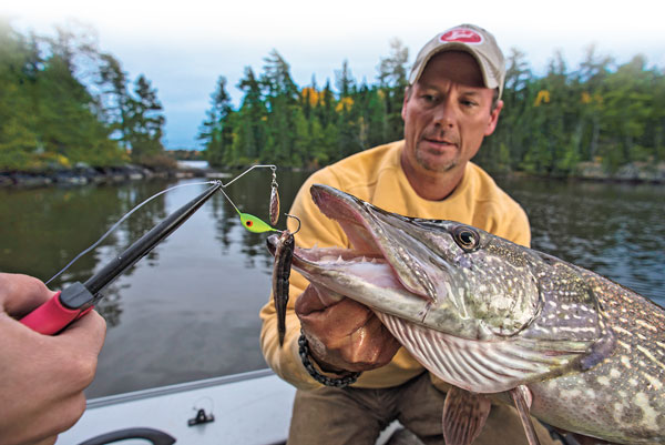Spin Rig for Pike - In-Fisherman
