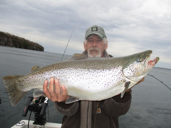 //www.in-fisherman.com/files/2018/05/Big-Brown-Trout-on-Lake-Ontario1.jpg